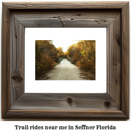 trail rides near me in Seffner, Florida